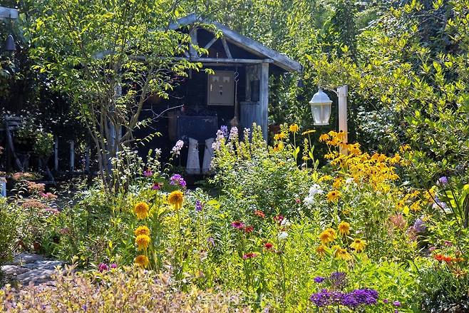 경북 경주 야생화일기/사진-산림청