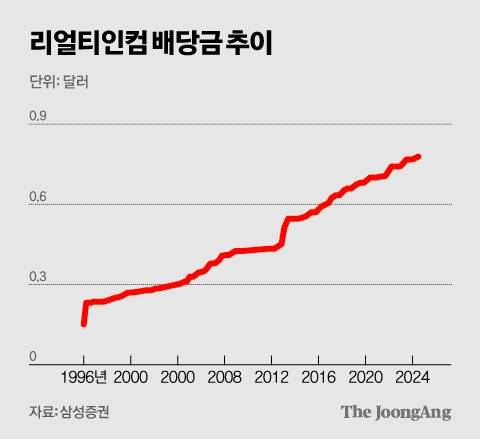 김영희 디자이너