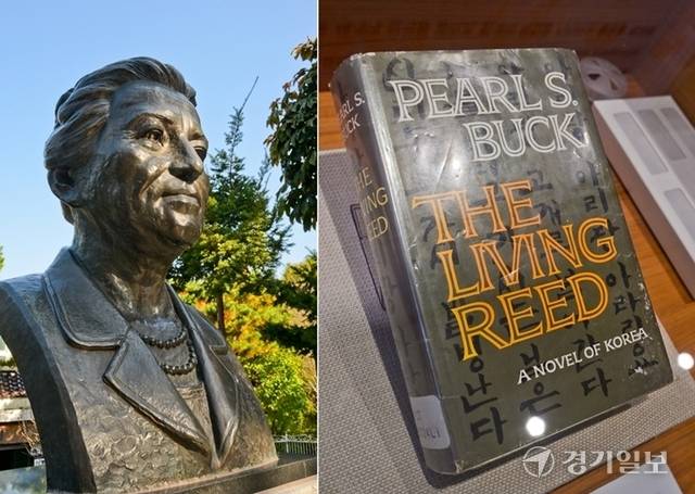 (왼쪽부터)①펄벅은 노벨문학상을 수상한 문학가이자, 아동복지와 인종간 불평등 해소를 위해 노력한 인권 운동가였다. 펄벅 흉상. ②한국을 배경으로 한 소설 '갈대는 바람에 시달려도(1963)'. 윤원규기자
