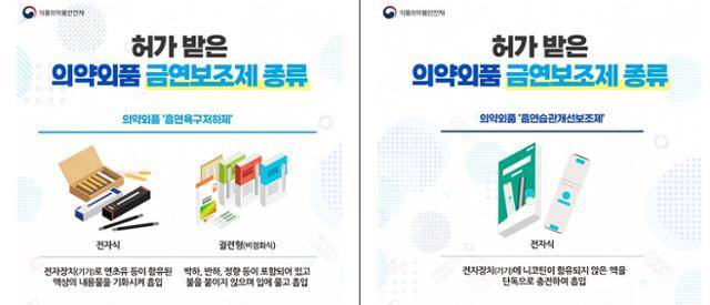 의약외품으로 허가를 받아야 하는 금연보조제 종류. 식품의약품안전처 제공