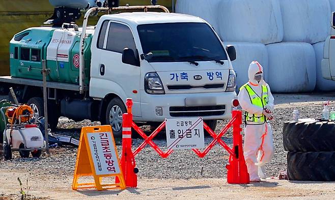 소 바이러스성 질병인 '럼피스킨병' 확진 판정을 받은 전남의 한 축산농장이 방역 당국에 의해 통제되고 있다. 연합뉴스