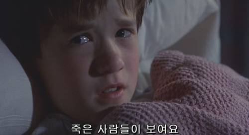 식스센스를 관통하는 한 장면. 반전이란 이런 것이다..