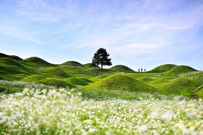 문화체육관광부 장관상을 수상한 박구용 作 ‘7월 고분군’ (사진=한국관광공사 제공)