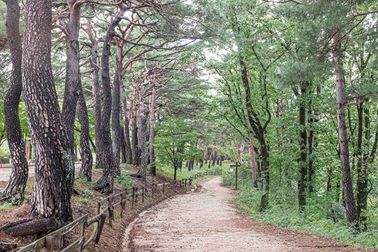 가을 냄새 물씬 풍기는 척산온천 숲길