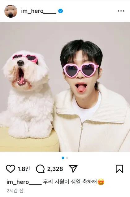 임영웅의 반려견 시월이의 생일을 축하하는 글. 사진ㅣ임영웅 개인 SNS