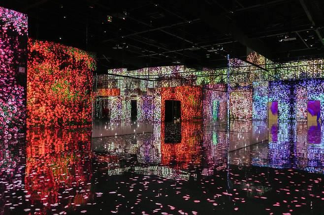 아르떼뮤지엄 부산 플라워