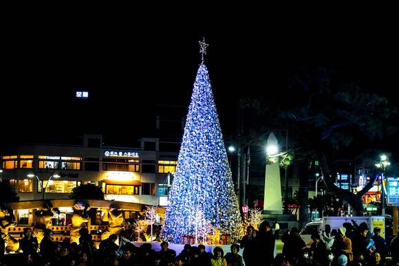 탐라문화광장에 설치된 성탄트리