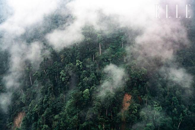 총 35인까지 탑승 가능한 케이블카가 위쪽으로 향할수록 베트남 북부의 풍부한 자연을 목격할 수 있다.