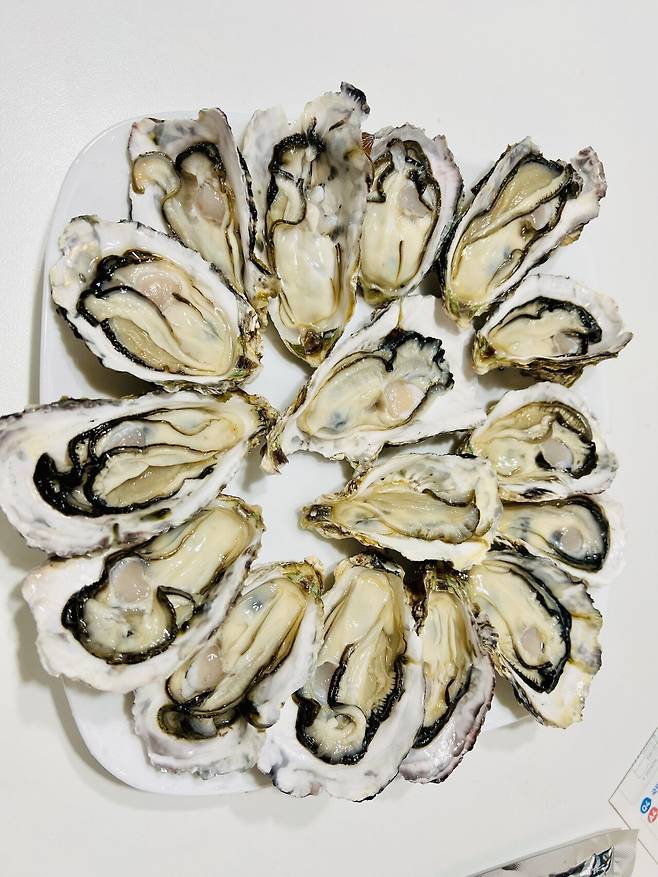 IMG_2009.jpeg 방어 한접시, 석화 하프쉘을 곁들인