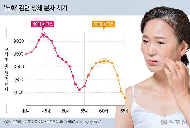 노화가 가속화되는 44세, 60세에는 신체 변화에 더 적극적으로 대처해야 한다./그래픽=김민선