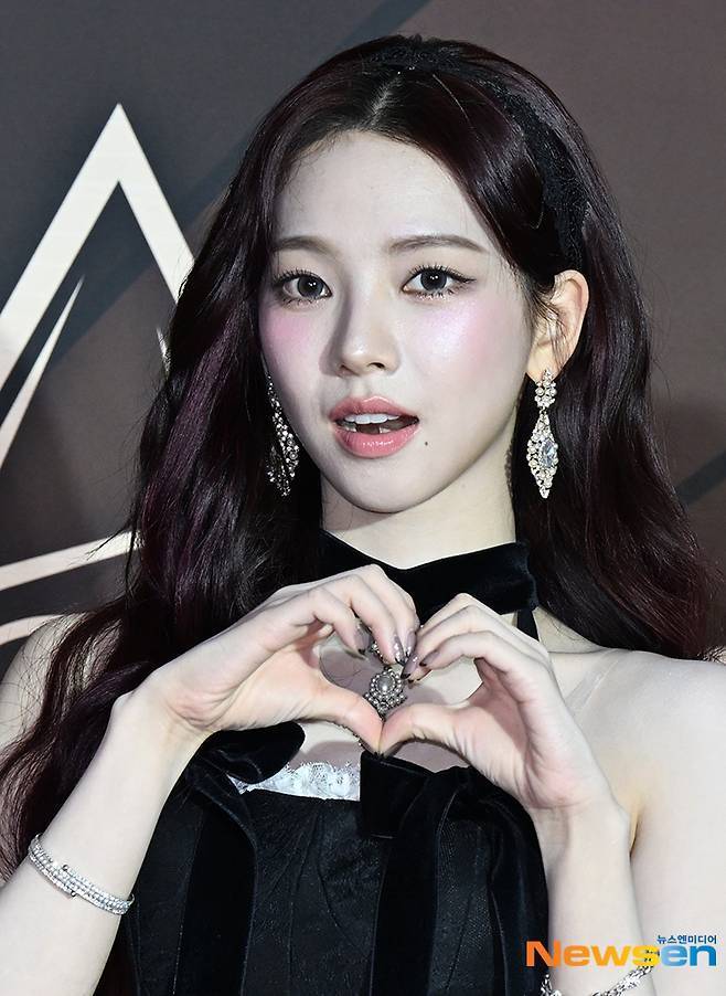 카리나, 뉴스엔DB