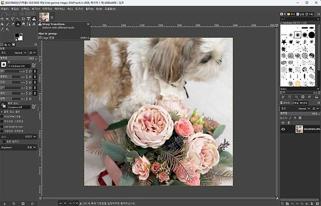 GIMP는 전세계적으로 널리 쓰이는 포토샵 대안 프로그램이며, 홈페이지는 물론 마이크로소프트 스토어에서도 받을 수 있습니다 / 출처=IT동아