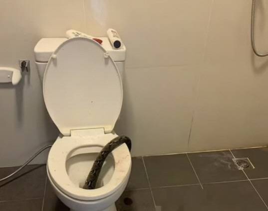 사진은 기사와 관련이 없음. 데일리메일·자료사진