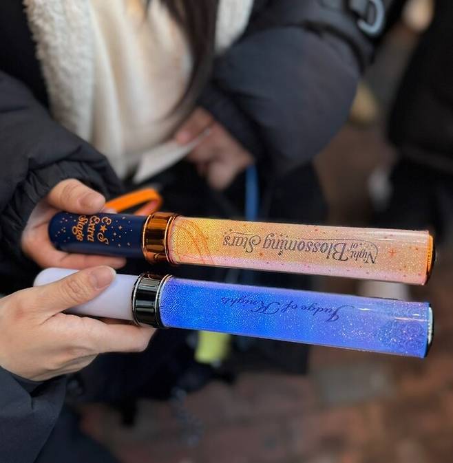 ‘민주없는 민주동덕’ 집회에 참여한 여성 시민들의 응원봉. 김효실 기자