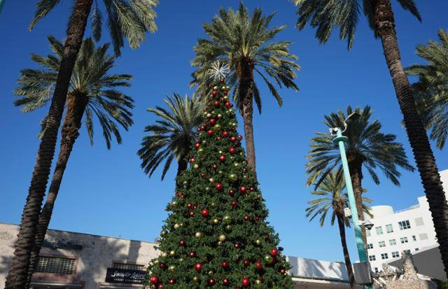 ‘마이애미 아트 위크’ 기간인 6일 미국 플로리다주 마이애미의 행사장 주변에 크리스마스트리가 세워져 있다. 플로리다는 지난해 미국 내 주간(州間) 이동으로 인구가 가장 많이 늘어난 주다. 마이애미=AP 연합뉴스