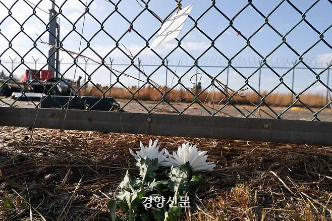제주항공 여객기 참사 이틀째인 30일 전남 무안공항 참사현장 인근에 국화꽃이 놓여있다. 이준헌 기자