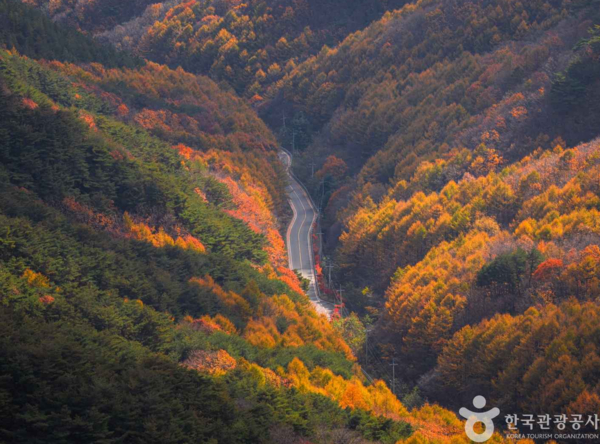 이미지 출처: 한국관광공사