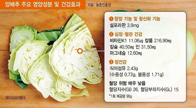 양배추 주요 영양성분 및 건강효과.