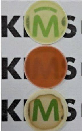 한국재료연구원 나노재료연구본부 마호진 박사팀이 부산대 이정우 교수팀과 함께 개발한 반도체 제조 공정에 쓰이는 투명한 내플라즈마성 고엔트로피 세라믹. 재료연구원 제공