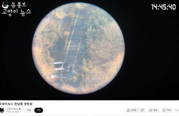 유튜브 채널 '고양이뉴스'가 지난 14일 밤부터 서울 용산구 한남동 대통령 관저에서 윤석열 대통령의 2차 체포영장 집행을 생중계했다. 출처=유튜브 채널 '고양이뉴스'