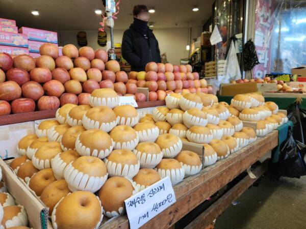 16일 오전 인천 남동구 모래내시장 한 과일가게 사장이 손님을 기다리고 있다. 황남건기자