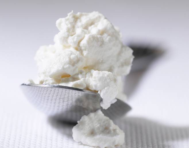 리코타 치즈는 다른 치즈보다 지방 함량이 적고 단백질이 풍부해 체중 관리를 할 때 먹기 좋다./사진=클립아트코리아