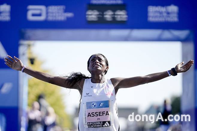 티지스트 아세파.