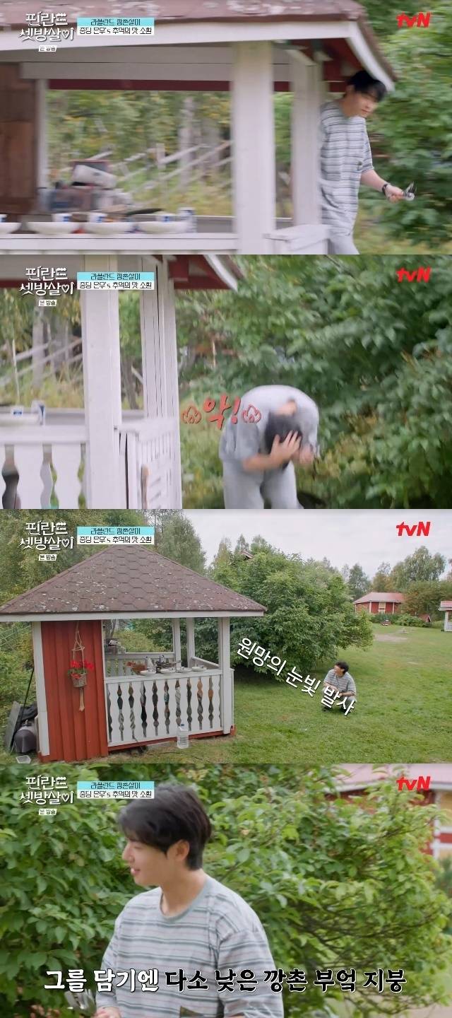 tvN ‘핀란드 셋방살이’ 캡처
