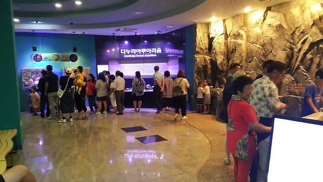 충북 단양군 단양읍 별곡리 다누리아쿠아리움을 찾은 방문객들이 수족관 내부를 둘러보고 있다. 단양군 제공.