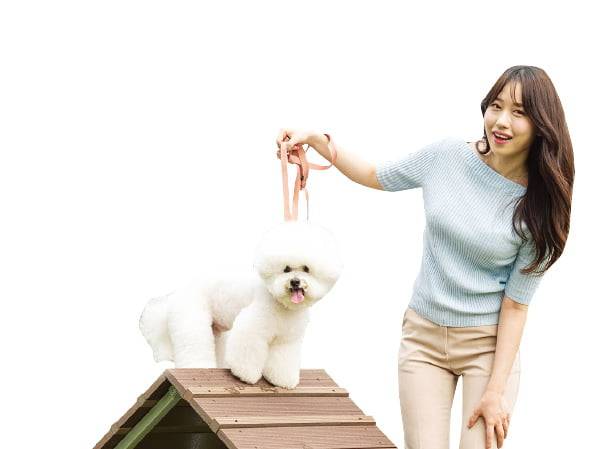 스타필드 하남에 조성된 펫파크.