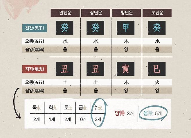 그래픽 신다은