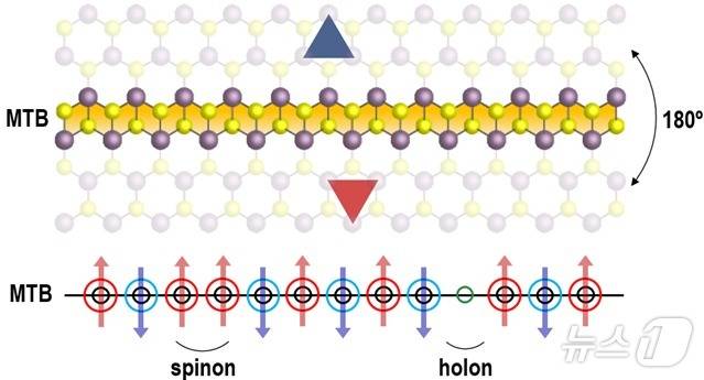 이상적인 1차원 양자 금속상인 이황화몰리브덴 거울 쌍정 경계. (기초과학연 제공)/뉴스1