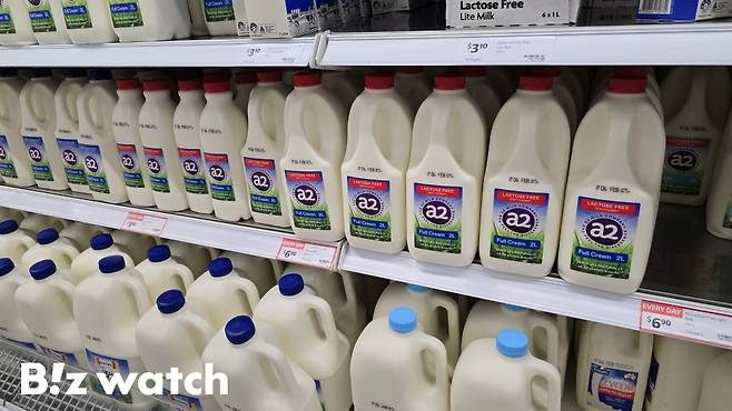 호주 대형마트 내 우유 매대에 A2우유가 진열돼 있다. /사진=김지우 기자 zuzu@