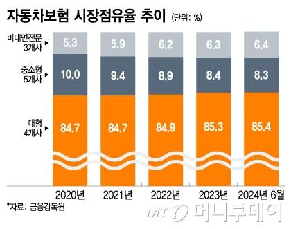 자동차보험 시장점유율 추이/그래픽=이지혜