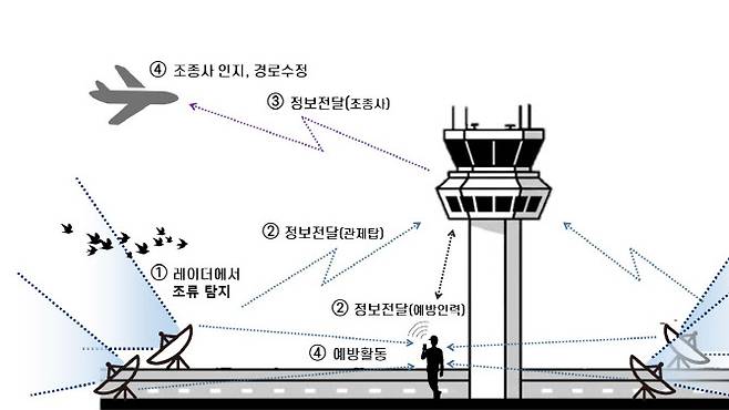 조류탐지 레이더 활용 예시도 (그래픽=국토교통부)