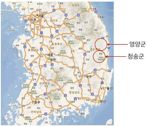 d32ff49ca623d380d615439a6385877e.jpg.ren.jpg 품종 이름 지을 때 신중해야하는 이유