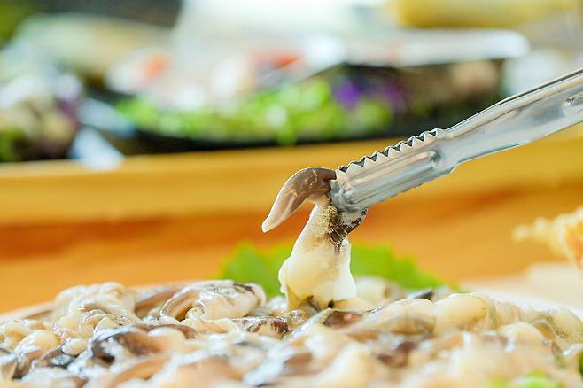 충남 홍성 남당항의 새조개. 홍성군 제공