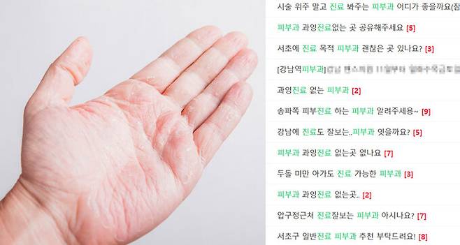 온라인에서는 강남구 내 피부질환 진료가 가능한 병원을 추천해달라거나 관련 진료를 보는 타 과목 의원 정보를 공유하는 글을 쉽게 볼 수 있었다. 클립아트코리아 제공, 강남3구맘 육아카페 게시글 캡처.