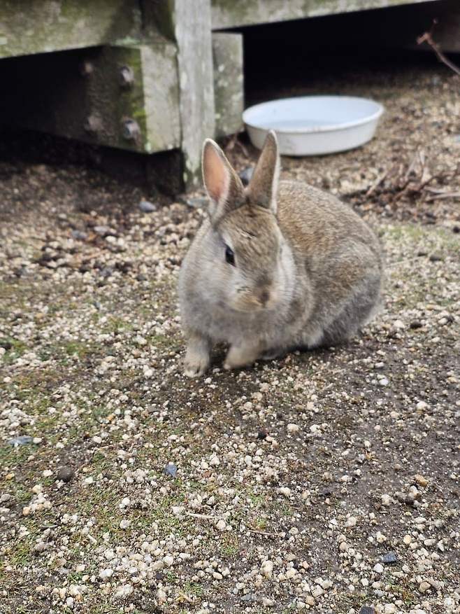 3fb8c32fffd711ab6fb8d38a4782766de7e39e4d9c244d57d2fc54d2ef25c39632cdd8845a8cabf04da0bbb44c80