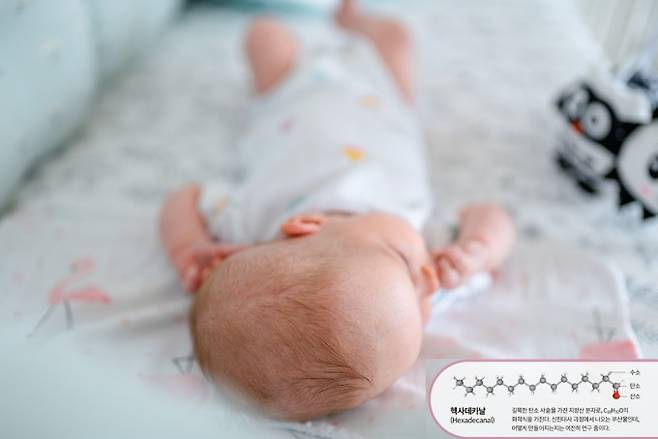 헥사데카날은 길쭉한 탄소 사슬을 가진 지방산 분자로, C16H32O의 화학식을 가진다. 신진대사 과정에서 나오는 부산물인데 어떻게 만들어지는지는 여전히 연구 중이다. 게티이미지뱅크, NIH PubChem제공