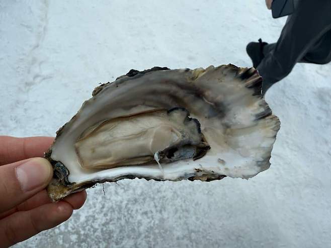 7deb8775c0f61cf523ed8696329c7018c2e3b144e34baec8db5fa1801cccb335f1cdf0a193c1820e3fdca68330d7cb319671986f80