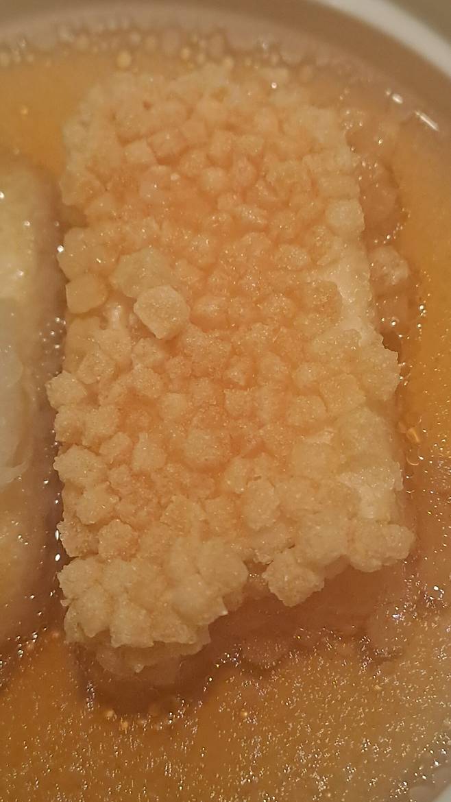 1000004415.jpg (스압)쿄토 두부 후기 !!!