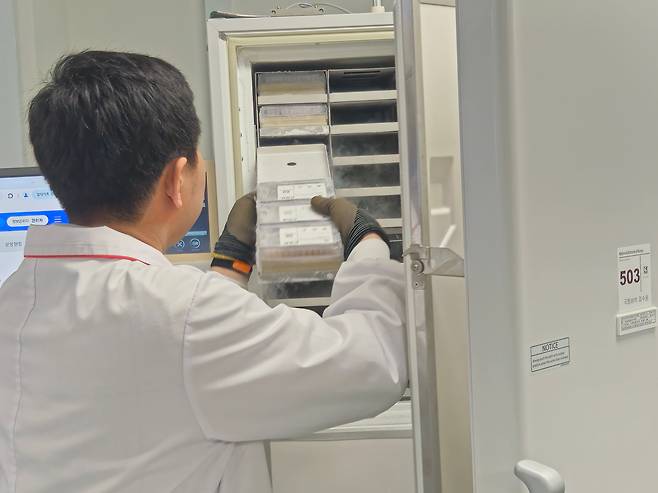 지난 11일 오후 충북 오송의 국립중앙인체자원은행(NBK)에 입고된 117명의 인체자원 바이알에 대한 접수·검수 작업을 마친 연구원이 냉동고에 임시 보관하고 있다./염현아 기자