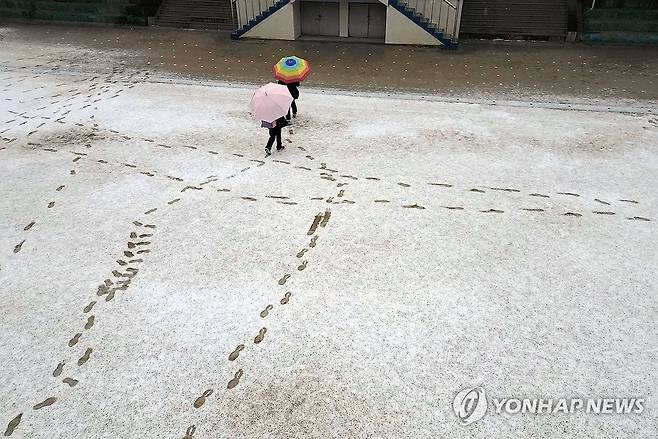눈 내린 풍경 (창원=연합뉴스) 김동민 기자 = 경남지역 일부 시군에 대설주의보가 발효된 12일 오전 우산을 쓴 학생이 경남 창원시 성산구 용남초등학교 운동장을 걸으며 추억을 만들고 있다.
창원지역은 오전 8시 20분 기준 눈이 그치고 비가 내리기 시작했다. 2025.2.12 image@yna.co.kr
