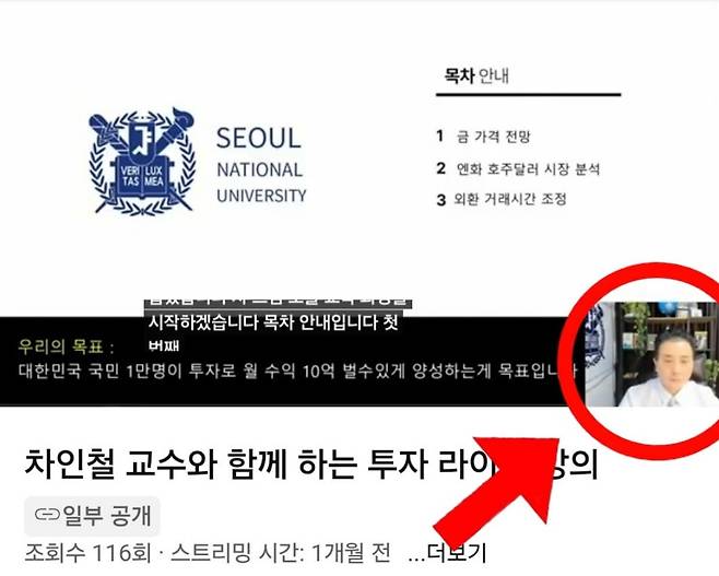 교수를 사칭한 강씨가 유튜브 라이브 방송으로 투자 강의를 하고 있는 모습. 딥페이크 기술을 활용해 실제 얼굴을 감췄다. 사진=독자 제공