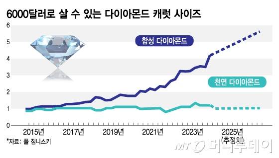6000달러로 살 수 있는 다이아몬드 캐럿 사이즈/그래픽=김지영