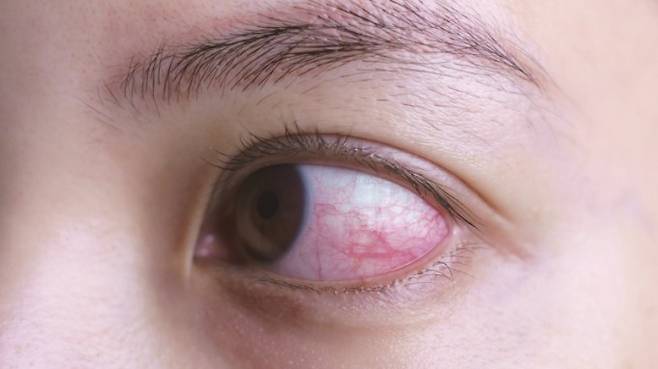 게티이미지뱅크 제공