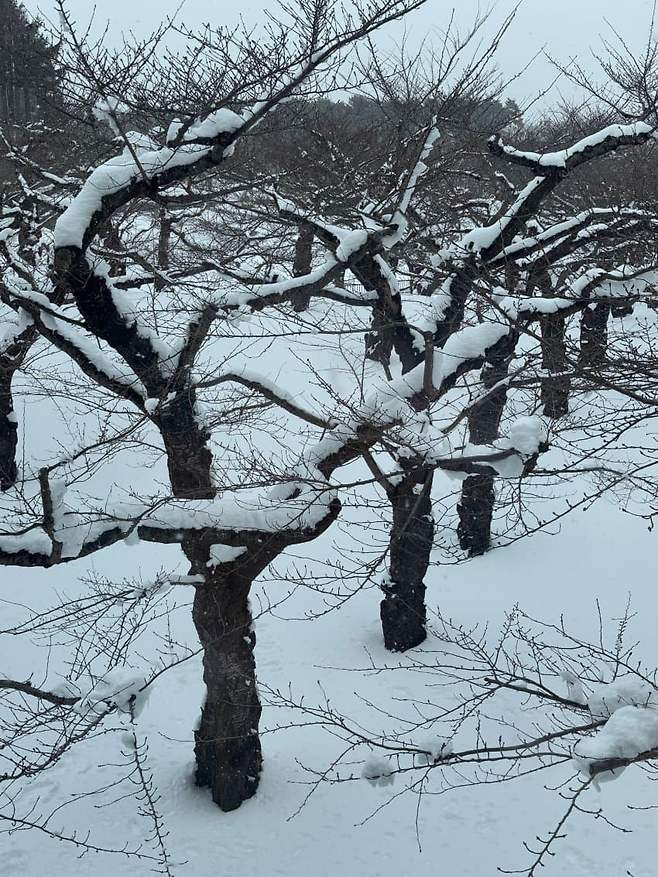 0beef27fc6f36d80239981934e9c701f713d2ea563f77d3730c61a0ac82acc39c1be923b4787df3719bf9d3071735b63f96c9c75b7