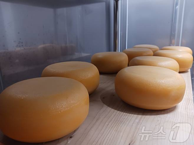 농촌진흥청의 숙성실.