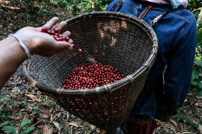 사진=게티이미지코리아.